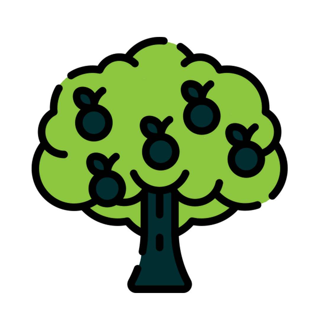 Fruit Bearing Plants